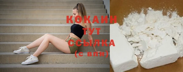 винт Няндома