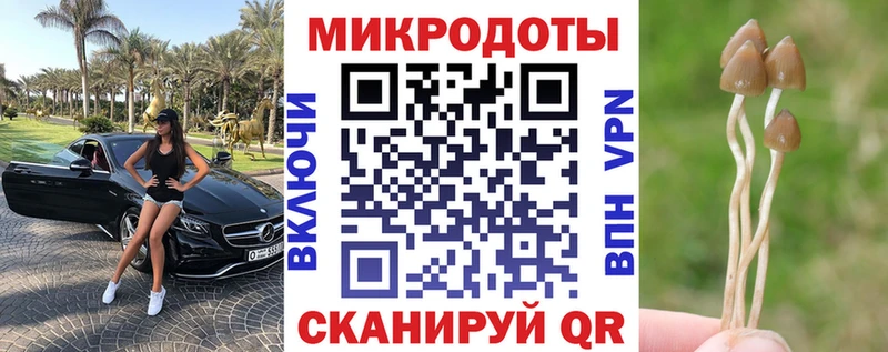 мориарти наркотические препараты  Сунжа  Галлюциногенные грибы прущие грибы 